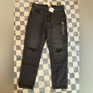 AE Strigid Mom Jean